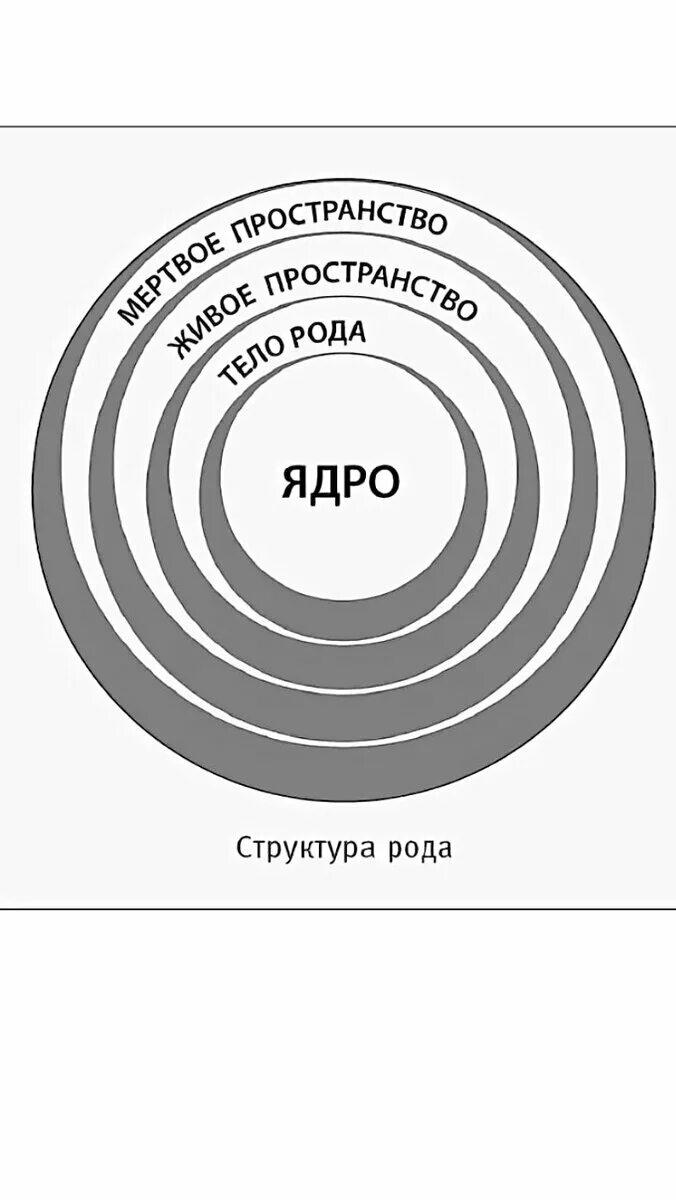 Тайны рода читать. Структура рода. Родовая структура. Строение рода. Ядро рода рода структура.