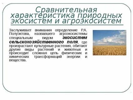 Сравнительной характеристики природных экосистем