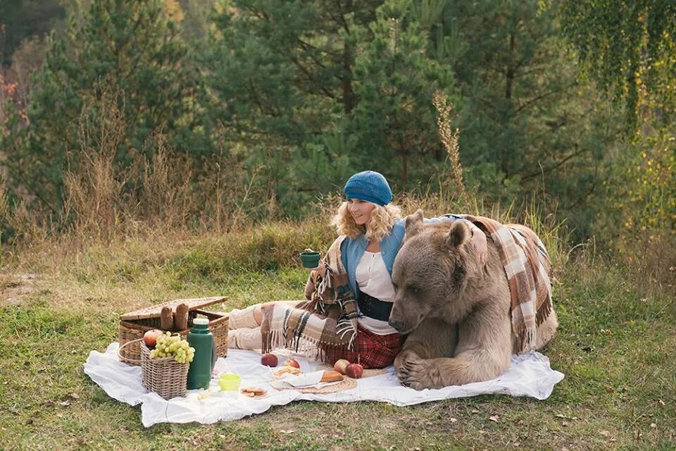 Медведь на пикнике. Мишки на пикнике. Picnic bear. Медведь ест за одним столом с хозяином. Медведь на пикнике.