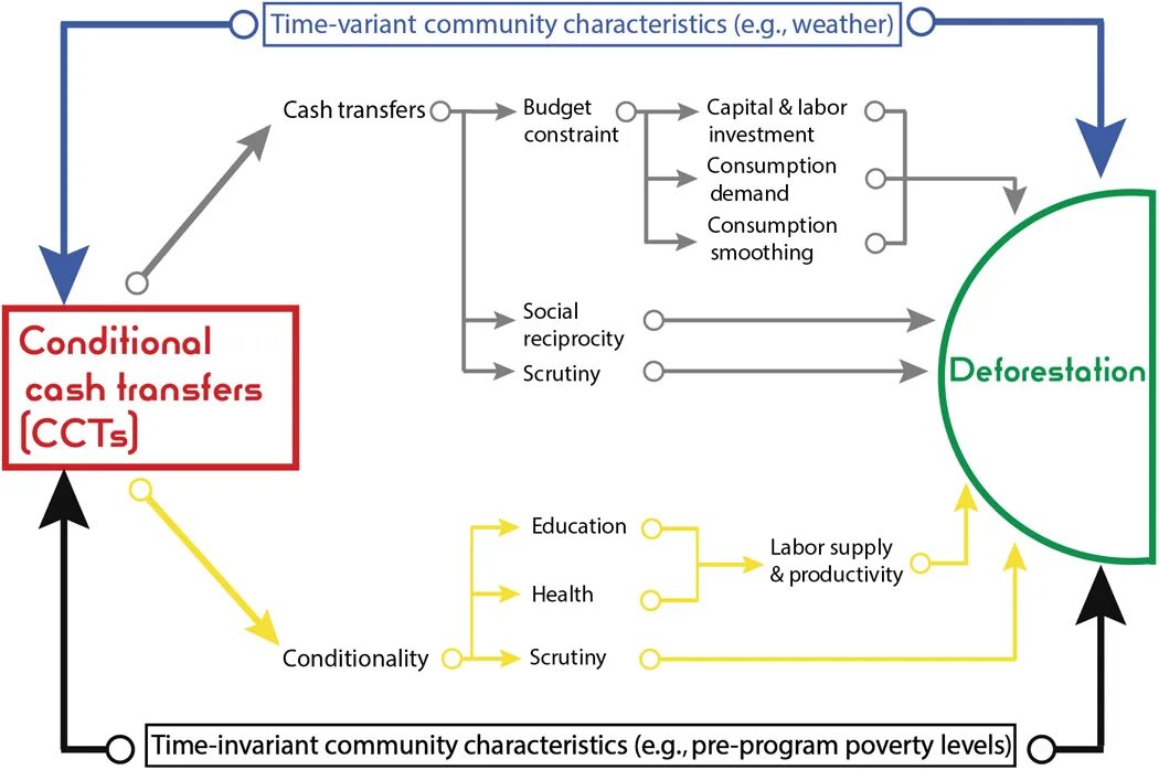 Causal graph. Direction acyclic graph. Prospera conditional Cash transfer. Counterfactual treatment Group статистика. Also protects