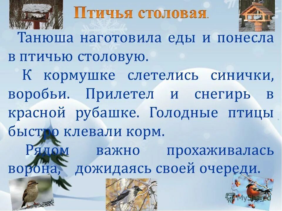слетевшиеся к кормушке воробьи быстро склевали. кормушки для птиц зимой. сколько птиц прилетело к кормушке. птички слетелись к кормушки. слетевшиеся к кормушке воробьи быстро склевали.