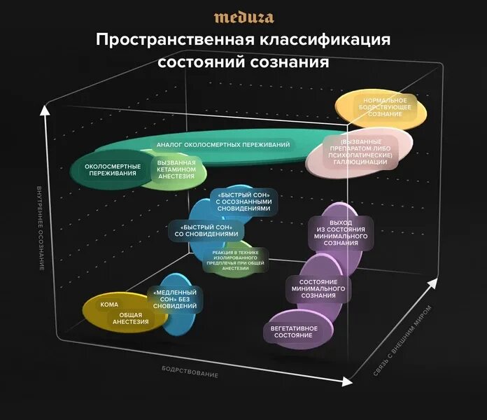 Сознание классификация. Модель в пространстве состояний. Состояние сознания. Управление в пространстве состояний.