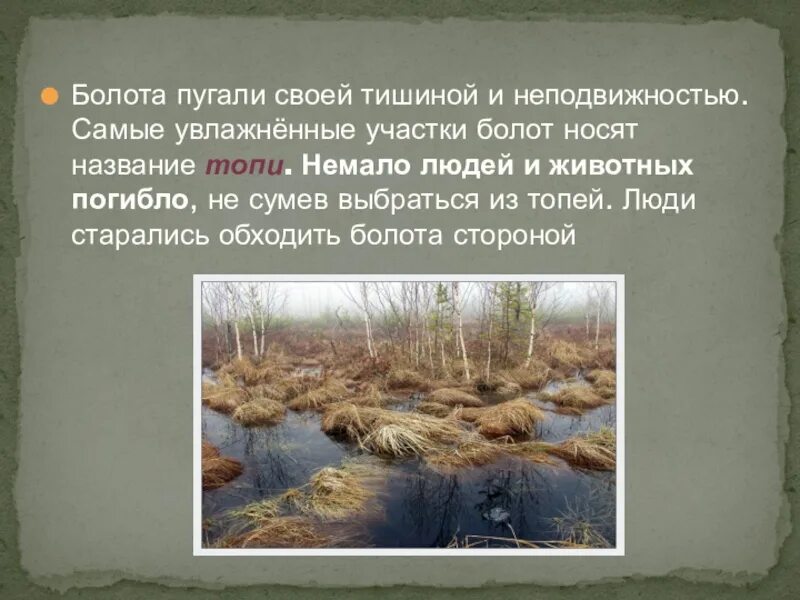 девон болота. осоковые низинные болота. болото мультяшное. болото и его обитатели. болото 1 класс.