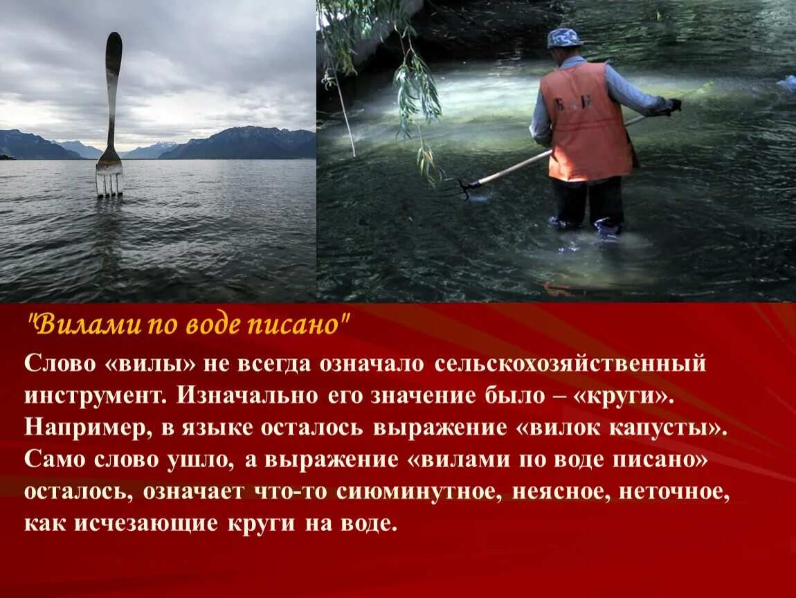 Вилами по воде писано предложение. Вилами по воде. Выражение вилами по воде. Вилами по воде писанно. Вилами по воде юмор.