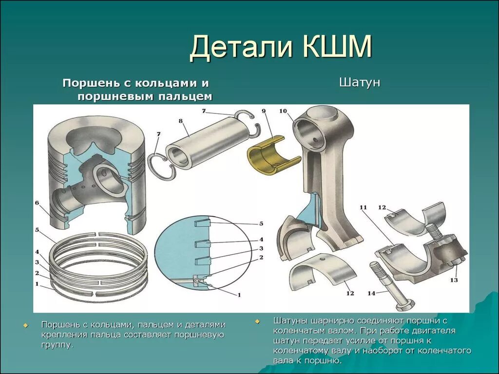 Основные группы деталей. Конструкция поршня КШМ. Устройство поршневой группы Кривошипно шатунный механизм. Цилиндр ДВС Кривошипно-шатунный. Поршень с пальцем КШМ КАМАЗ.