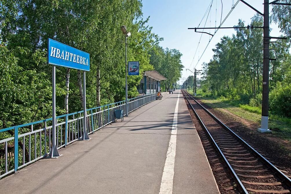 Софрино тайнинская
