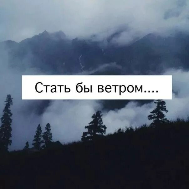 Ветров я стану ветром что. Мне бы ветром стать. Помнишь свои слова они ветром стали. Стать бы ветром текст. Помнишь свои слова они ветром стали картинки.