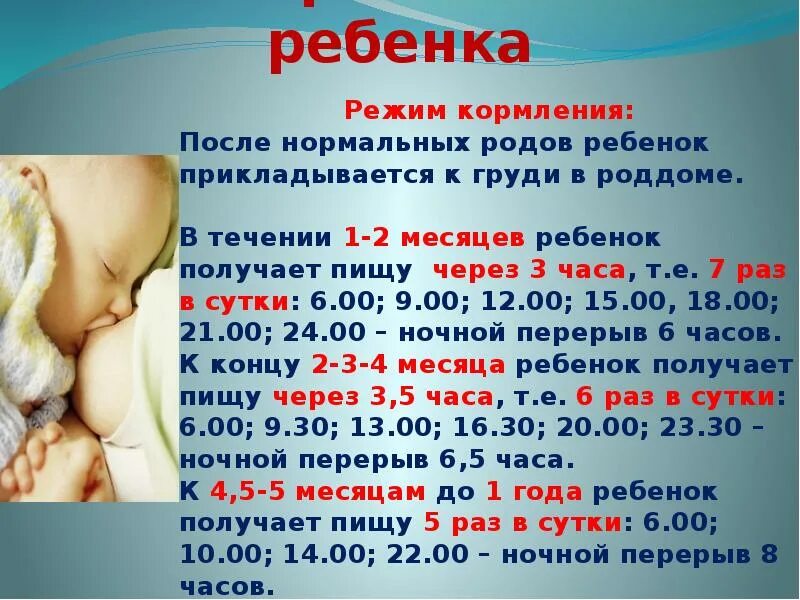 Сколько раз кормят ребенка