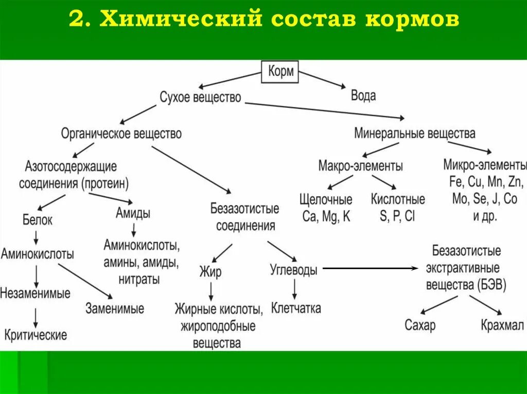 И т д и минеральных. Схема химического состава корма. Схема химического состава кормов животных. Схема зоотехнического анализа химического состава кормов. Составьте схему химического состава кормов..