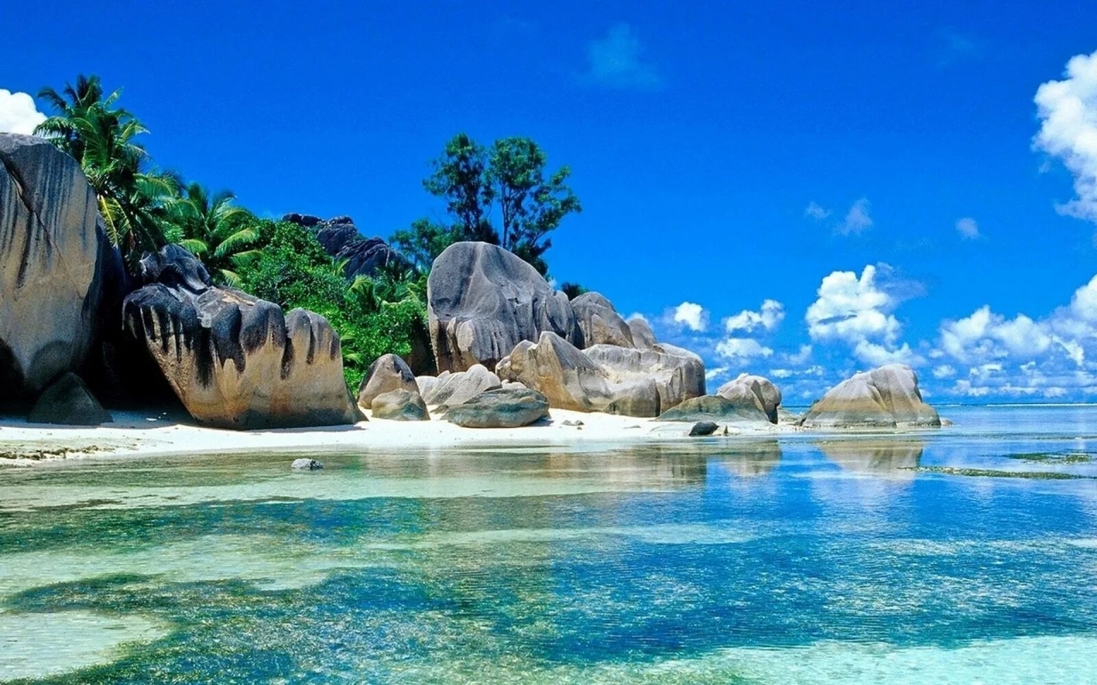 Тропический остров. Природа 3д. Природа Сейшельских островов. Фотообои на экран телефона природа.