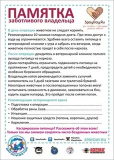 Памятка после