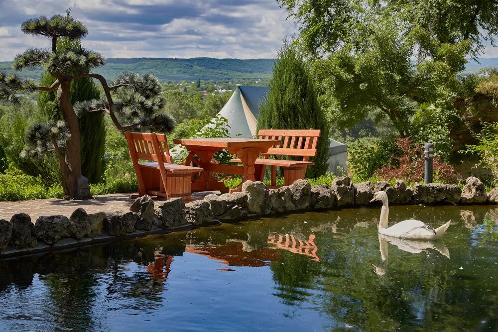 кафе родник пятигорск. парк родник. парк родники пятигорск. парк родник пятигорск. пятигорск родник парк родник.