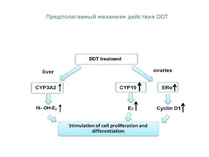 Механизм предполагает