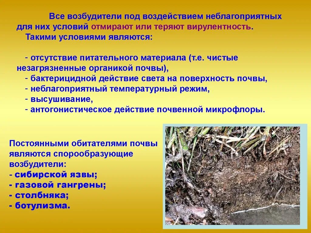 Почва является фактором передачи заболеваний. Гигиена почвы презентация. почва гигиена и экология. почва презентация. гигиена вода и почва.