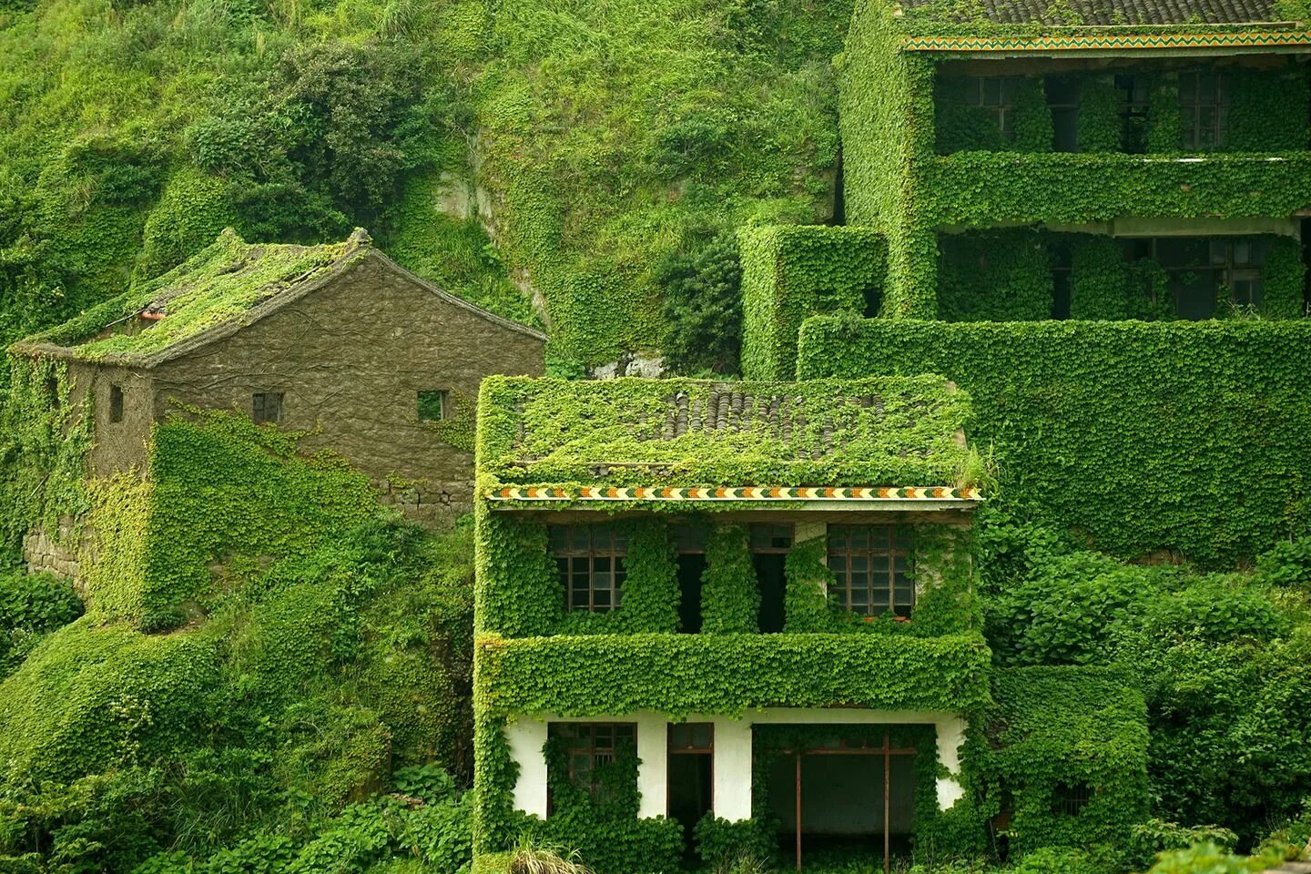 Abandoned village reclamation. Заброшенная деревня остров Шенгси. Остров Шенгси зеленая деревня. Рыбацкая деревня в Шенгси. Архипелаг Шенгси Китай заброшенная Рыбацкая деревня.