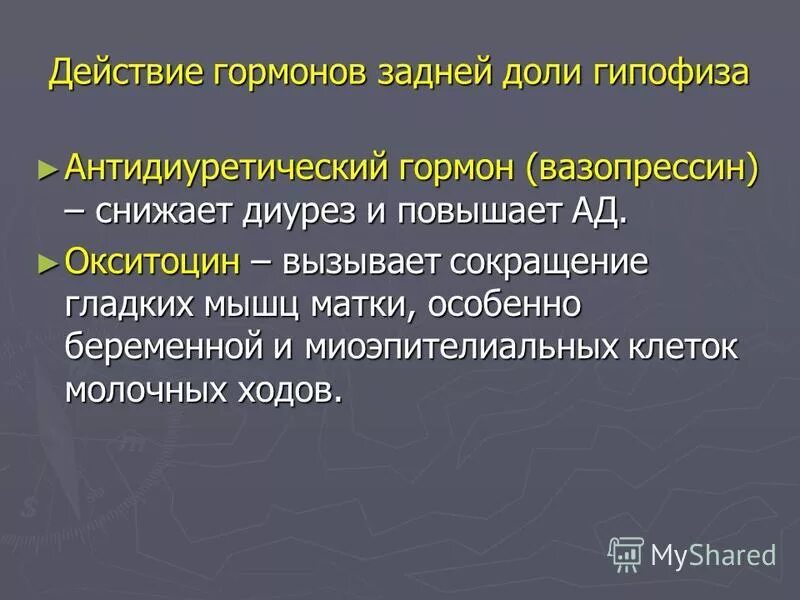 Антидиуретический гормон гипофиза