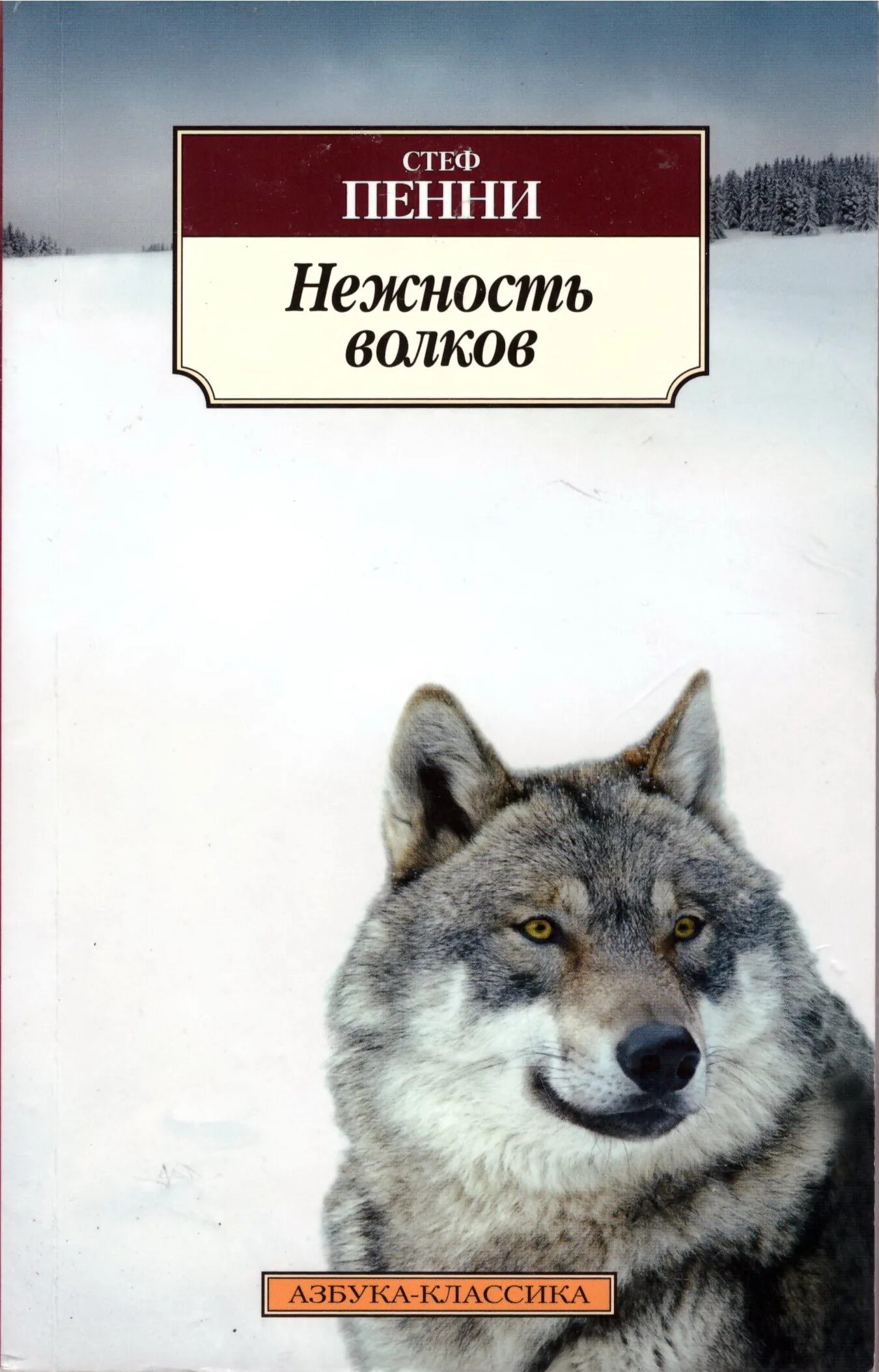 Книга волков гимназия. Нежность Волков Стеф пенни. Нежность Волков книга. Книга волк. Книги про Волков.