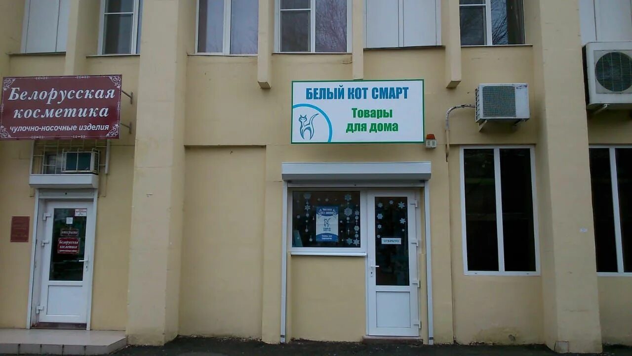 Белый кот интернет магазин. Белый кот в островах магазин. Белый кот в архангельске адрес и телефон. Фирма белый кот. Магазин белый кот в трц острова.