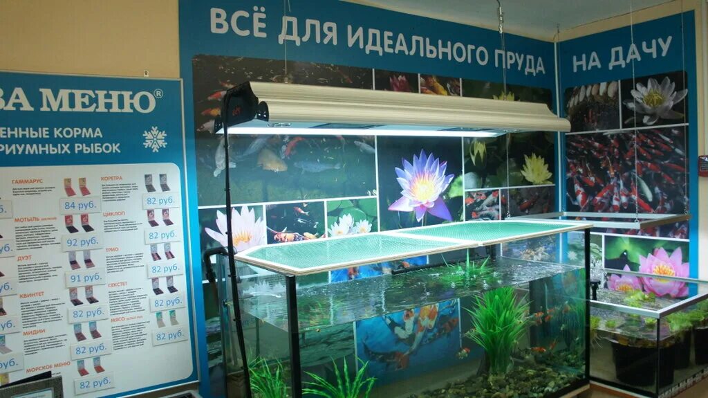 Живая вода аквариум. Магазин аквариумистики. Живая рыба в магазине в аквариуме. Водный мир для аквариума. Санкт Петербург океанариум магазин.