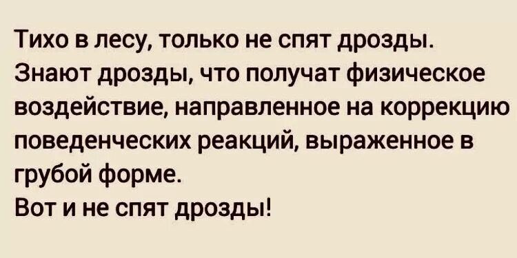 Тихо в лесу только не спят Дрозды знают Дрозды что получат. Знают Дрозды что получат.