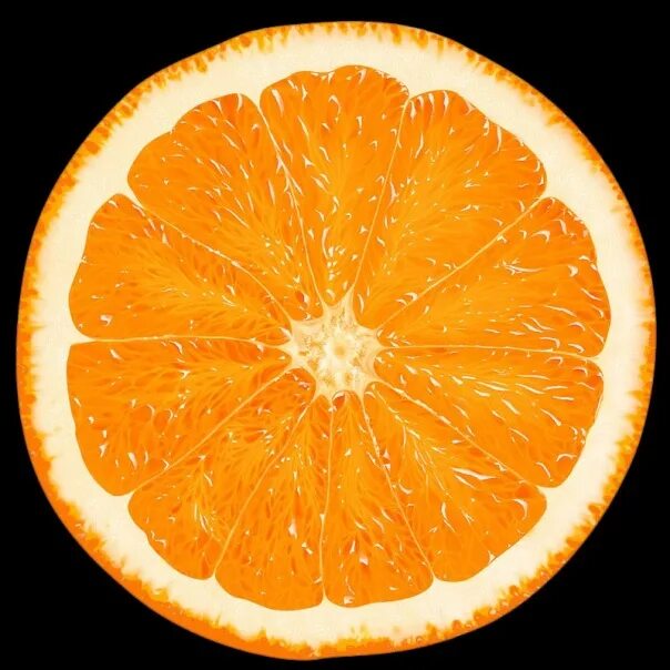Апельсин в разрезе. Срез апельсина. Апельсин круглый срез. Кусочки апельсина.
