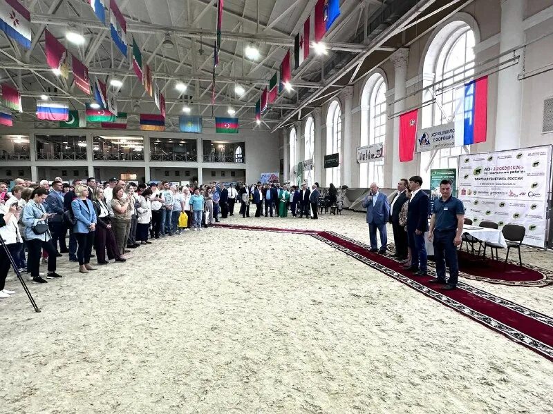 региональные выставки 2023