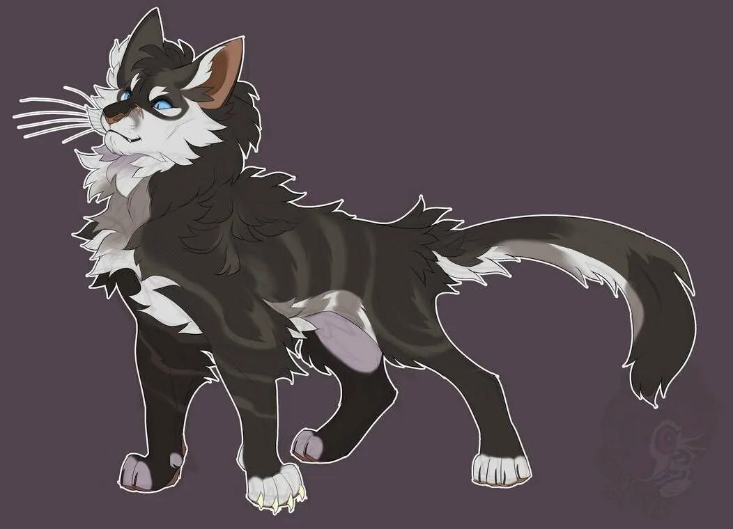 Warrior cats коршун. Warrior cats коршун. Hawkfrost. Коршун кв. Коты воители коршун арт.