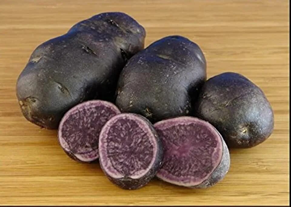Картофель сорт гурман отзывы. Сорт картофеля перуанский фиолетовый (purple peruvian). сорт картофеля голубой дунай (blue danube). картофель гурман фиолетовый. сорт картофеля чудесник.