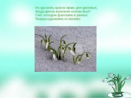 Из под снега вышел друг и весной