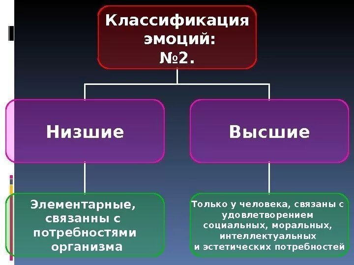 Высшие чувства есть у. Высшие чувства есть у