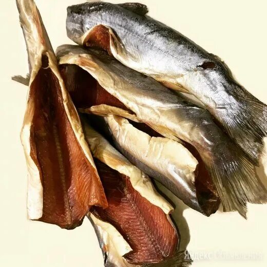 искусство эскимосов. гренландец инуит. эскимосы аляска женщины. Karoo ashevak. сушеная рыба эскимосов 5 букв.