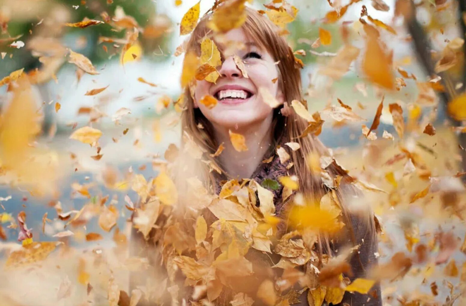 осеннее небо. воздух осенью. воздух осенью становится. осень атмосфера. яркие краски осени.