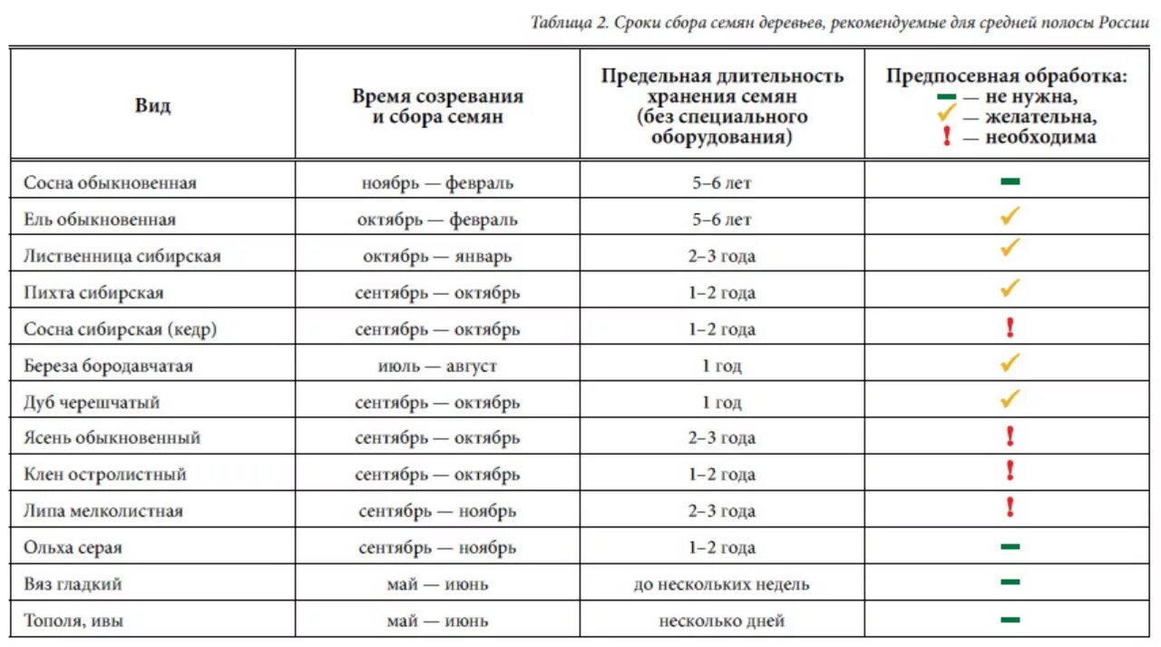 Сроки посева хвойных пород. Сроки стратификации семян древесных пород таблица. Сроки сбора семян ели обыкновенной. Сроки сбора семян древесных и кустарниковых пород. Сроки стратификации семян.