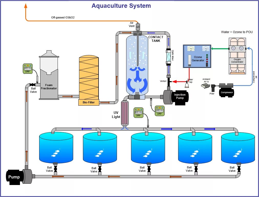 Озон вода. Кислородная станция для аквакультуры. Aquaculture 2 рецепты. Система Озон. Аквакультура установка груза схема.