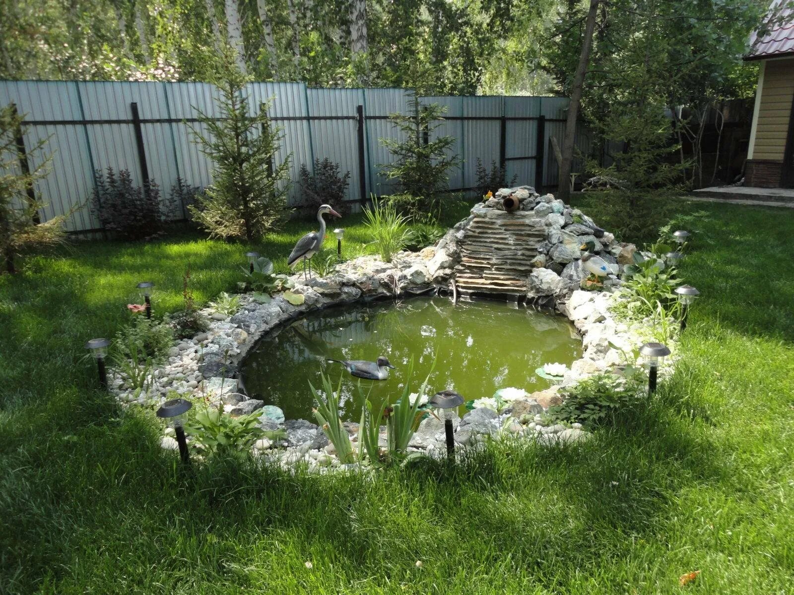 Маленький пруд дома. Искусственный водоем на участке. Огородный прудик. Декоративный прудик на даче. Пруд на даче.
