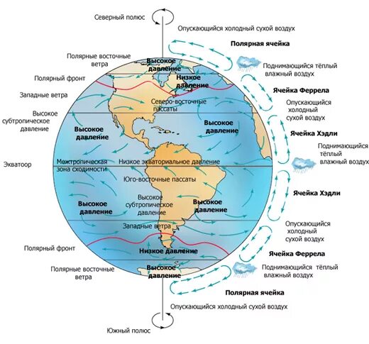 Пассаты южного полушария имеют направление. Западные ветры умеренных широт на карте. Пассаты в Южном полушарии. Течение западных ветров вокруг Антарктиды на карте. Восточные Полярные ветры.