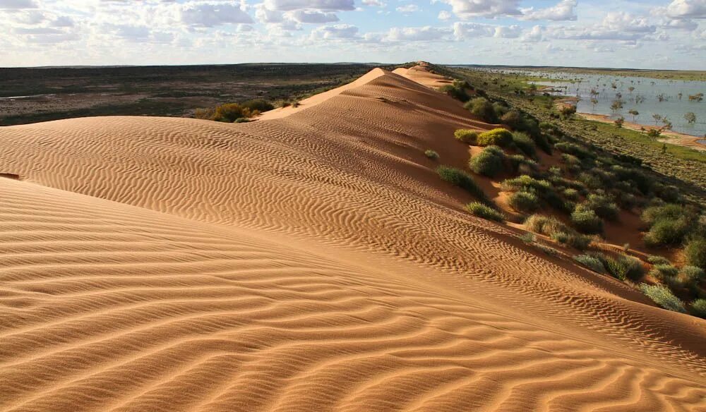 Дюна интересные факты. Great Victoria Desert Австралия. Симпсон Дезерт национальный парк Австралии. Малая Песчаная пустыня в Австралии.