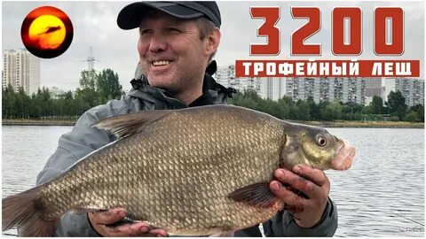 Лещ москва река
