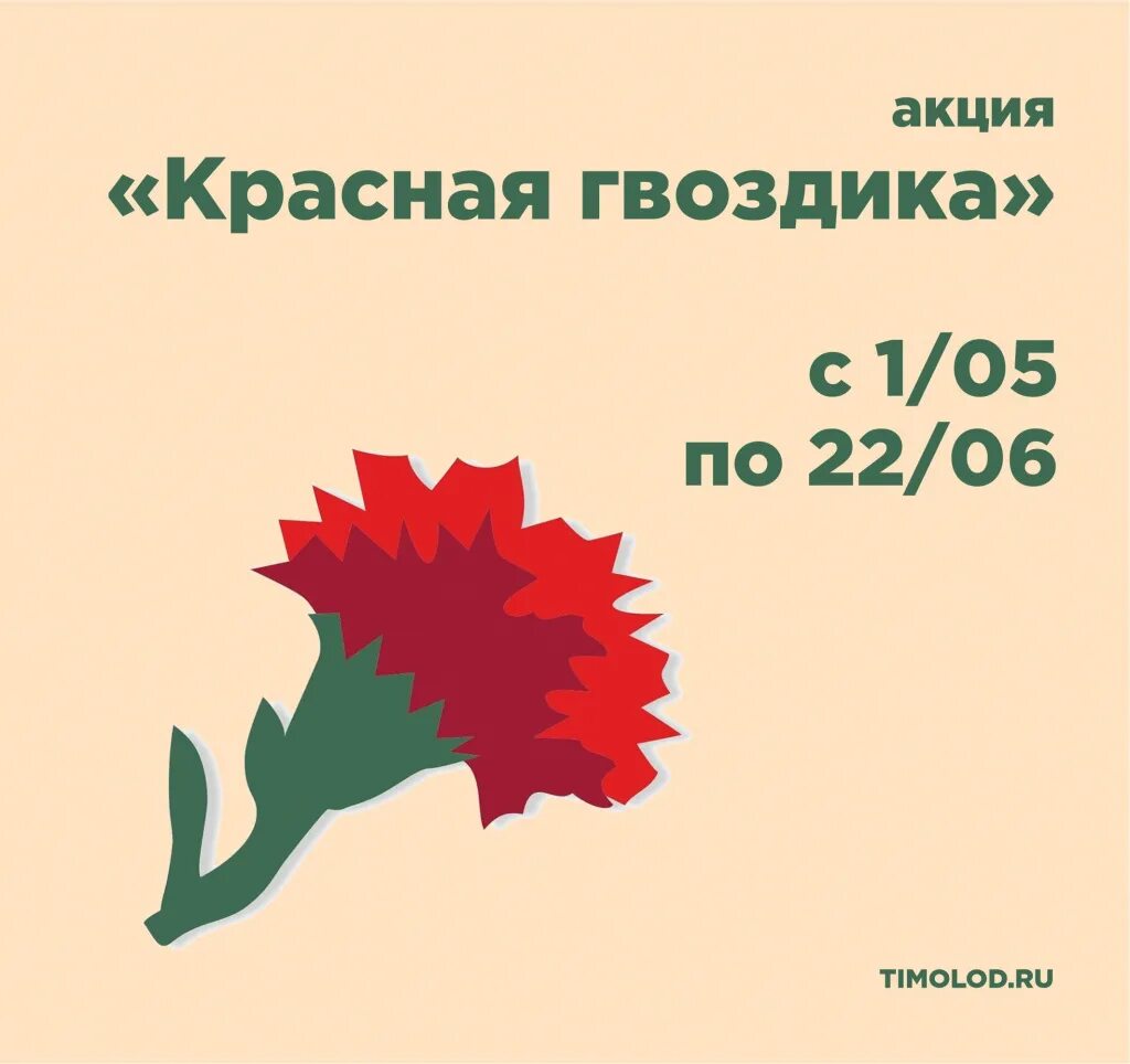 Траурный букет красных гвоздик. Бутончик гвоздики. Гвоздика "красная селект" бэнчмарк. Гвоздика диантус красная. Красный гвоздь.