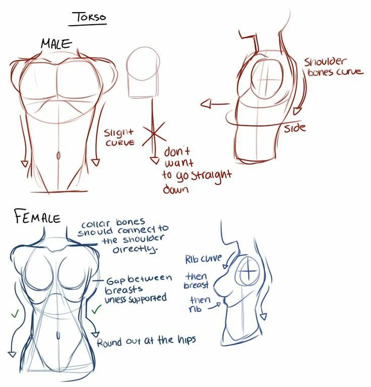 Breast tutorial