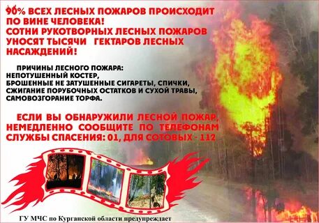 Пожарная безопасность состояние защищенности