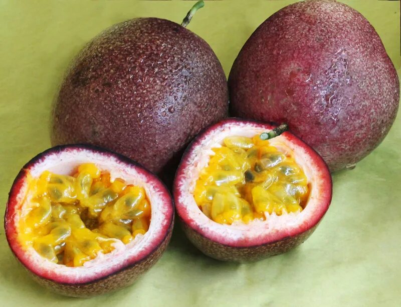 Друга фрукт. Фрукты. Дурьян цветок. Белый тропический фрукт. Личи ягода.