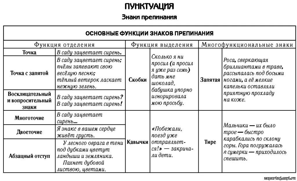 Пунктуацию современного русского языка