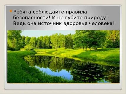 Сообщение о человеке природа краткое