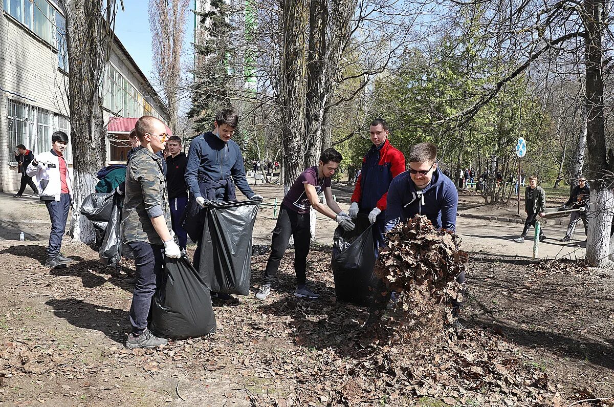 Группа студентов из воронежа занимается