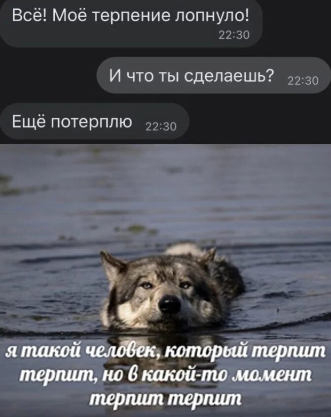 Женщина может очень долго терпеть. Я из тех людей кто долго терпит. Юмор психологов. Женщина терпит терпит а потом уходит. Как называют человека который терпит.