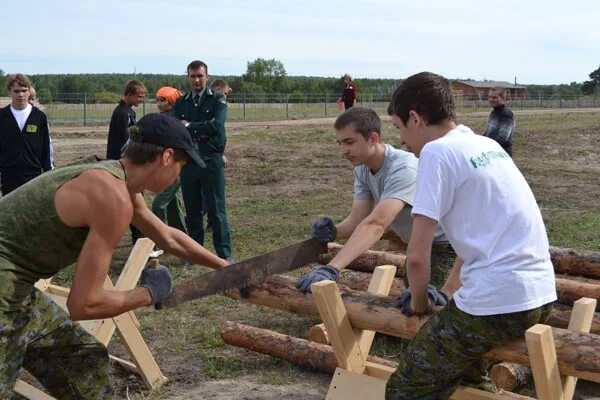 курганское лесничество. ооо курганлеспроект. курганское лесничество. курган лесхоз. гку курганское лесничество.
