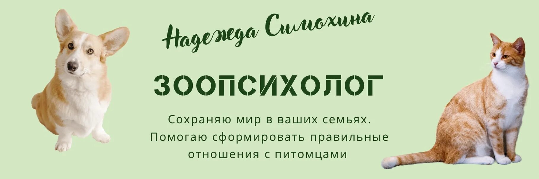 Зоопсихолог зарплата. Зоопсихологи отзывы. Зоопсихолог для собаки. Зоопсихолог для кошек. Зоопсихологи отзывы.