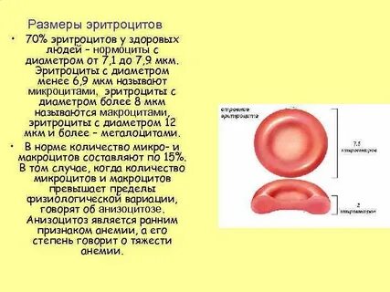 О чем говорят эритроциты