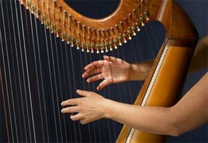 Как изменять высоту звука на арфе. Арфа в руках. руки арфистки. игра на арфе руки. арфа в оркестре.